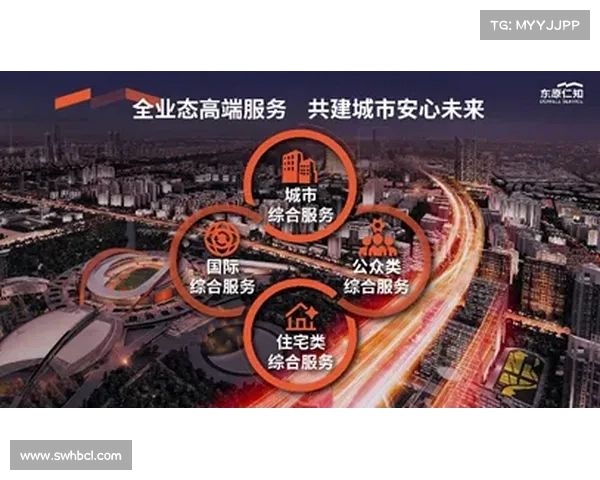 高原地区社工服务站运营模式与发展路径探讨 高原地区社工服务站运营模式与发展路径探讨